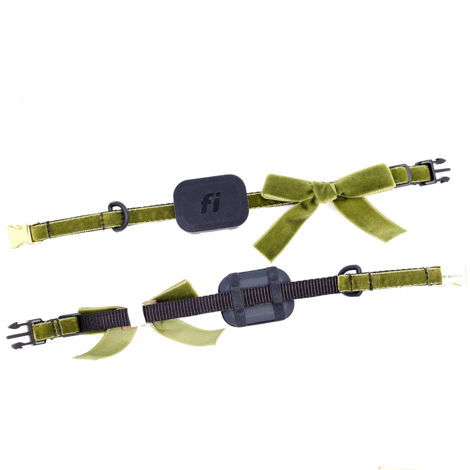 fi mini on velvet puppy collar back too