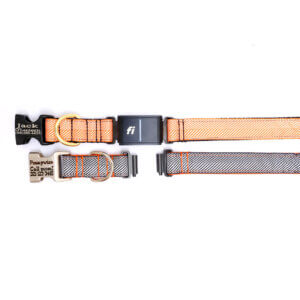 halloween fi dog collar black orange