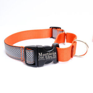 halloween martingale herringbone black orange