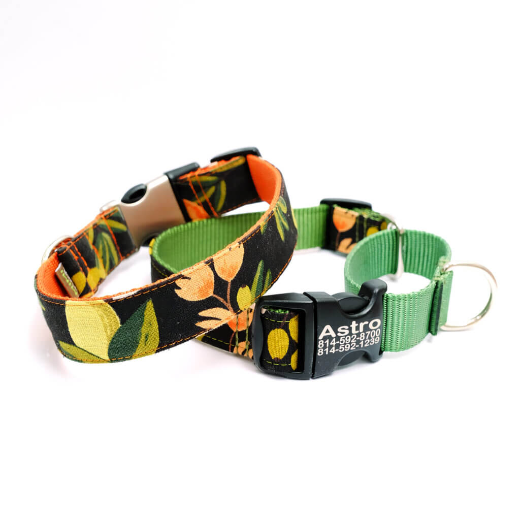 martingale dog collar engraved buckle custom Olea