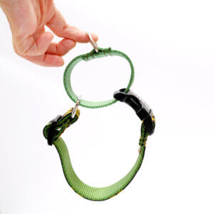 martingale dog collar loop olea