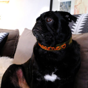 sesame pug camo embroidered dog collar