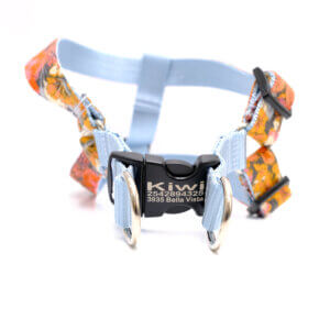step in dog harness with ID info Autumn