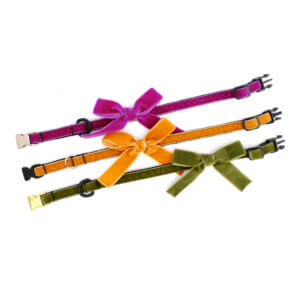 tiny puppy cat dog collar velvet bow