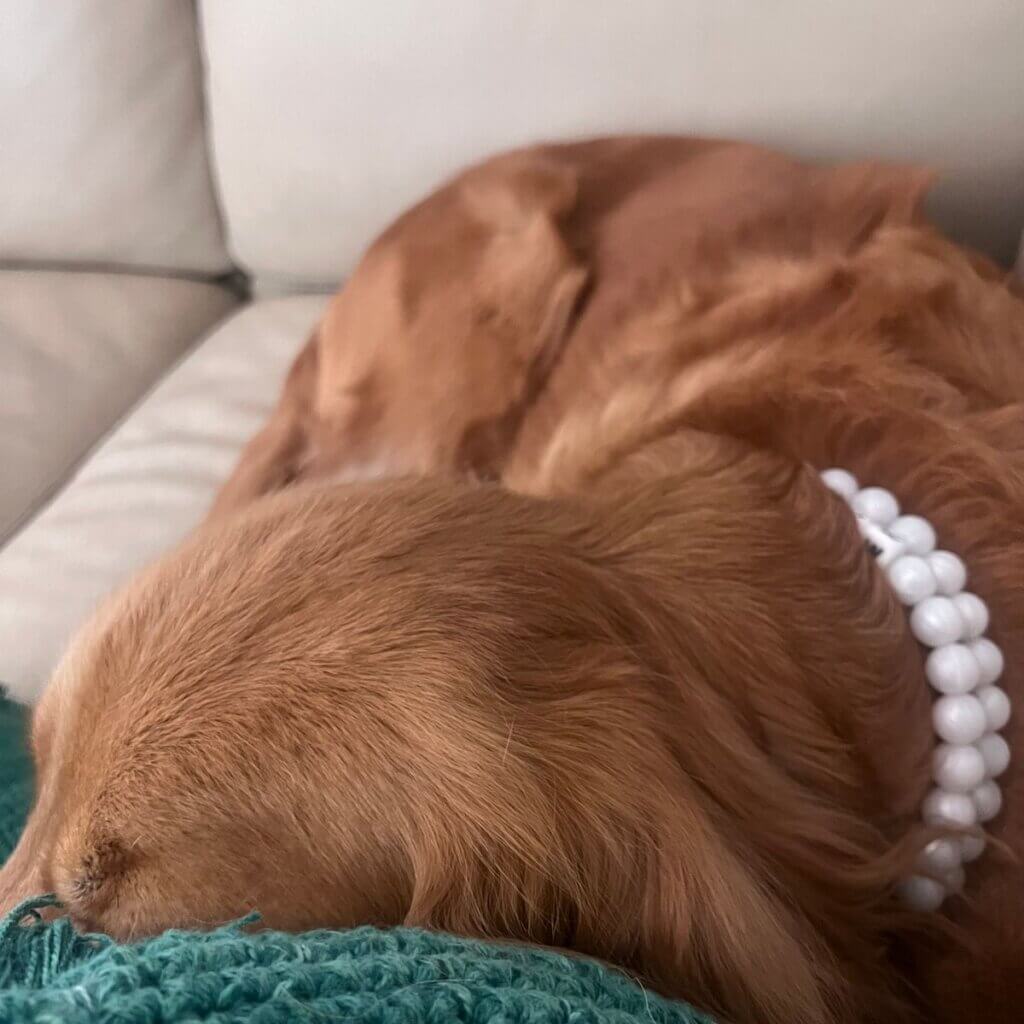 Image #1 from Jillian