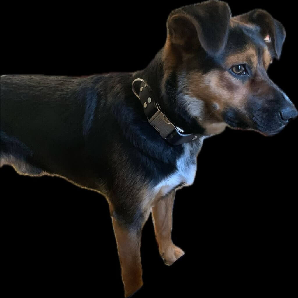 Image #1 from Cynthia