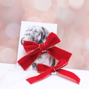 Bow Size Velvet Gold Edge