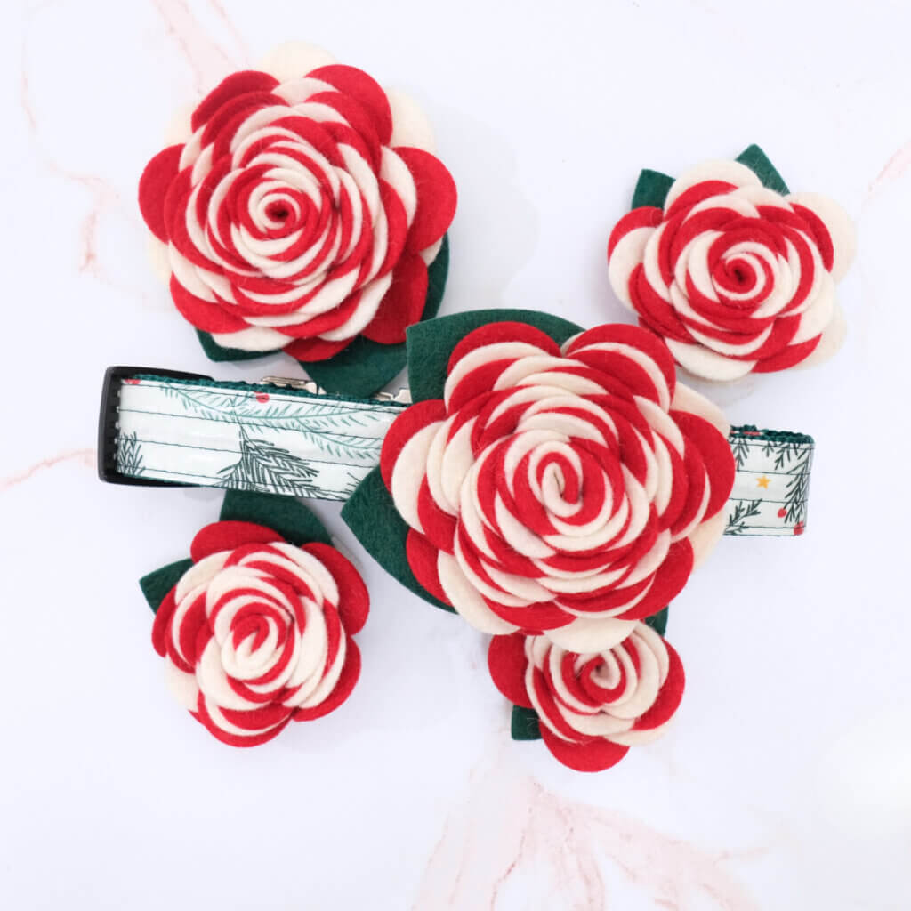 Carnation Flowers Flat Lay Holiday Red