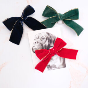 Holiday Bow Velvet Dog Accessory