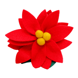 Poinsettia red no background