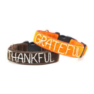 Thankful Hand Embroidered Dog Collar for Thanksgiving or Fall