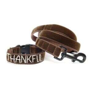 Thankful Hand Embroidered Dog Collar for Thanksgiving or Fall Brown Velvet