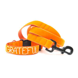 Grateful Hand Embroidered Dog Collar for Thanksgiving or Fall Brown Velvet