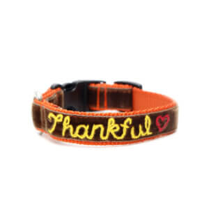 Thankful Hand Embroidered Dog Collar for Thanksgiving or Fall Brown Velvet
