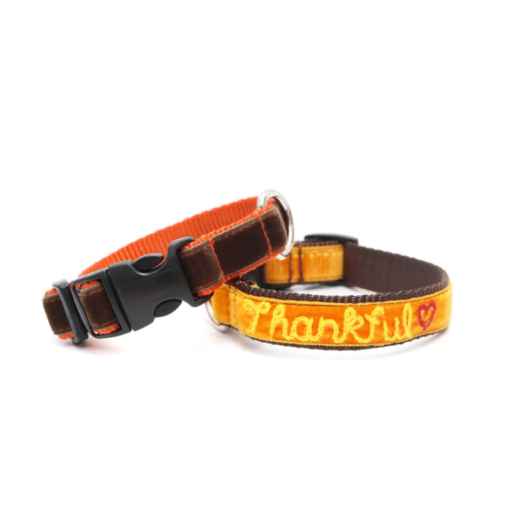 Thankful Hand Embroidered Dog Collar for Thanksgiving or Fall