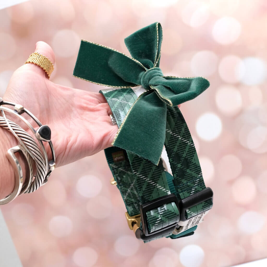 green tartan plaid dog collar for Christmas