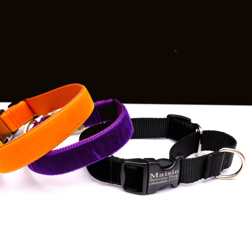 halloween martingale velvet collar with engraving