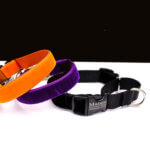 Halloween Martingale Collar - Orange, Black, and Purple Velvet