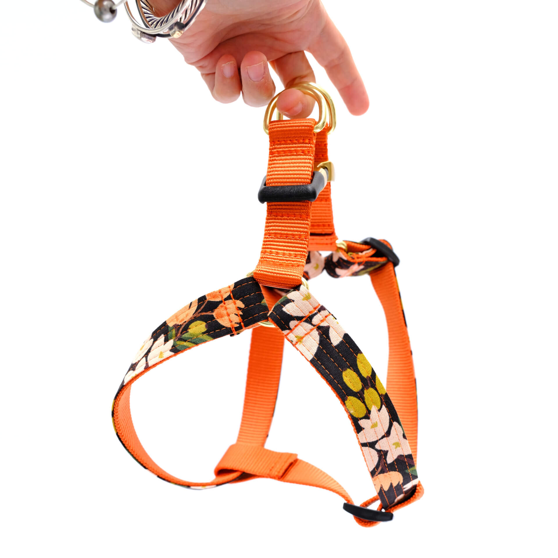 harness rifle paper co lemons olea