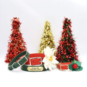 Leather Christmas Nameplate Collar Red Green Blue