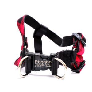 personalized red buffalo dog harness