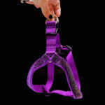 STEP IN Halloween Velvet Dog Harness