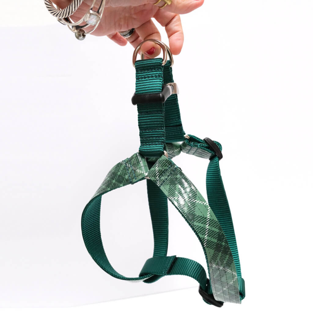 step in harness green tartan plaid