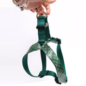 step in harness green tartan plaid