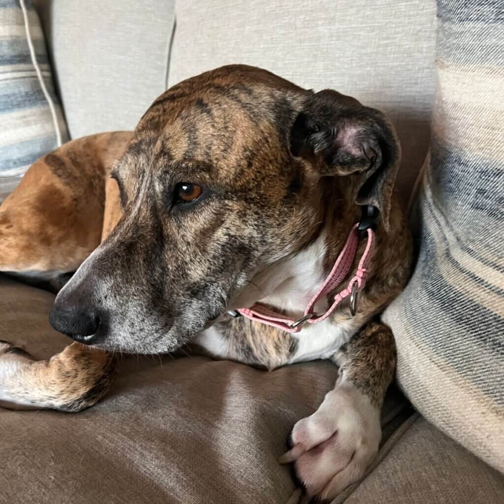 Image #1 from Carolyn P.