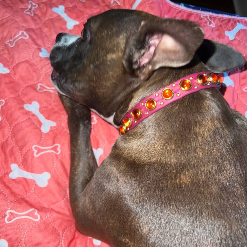 Image #1 from Robin C.