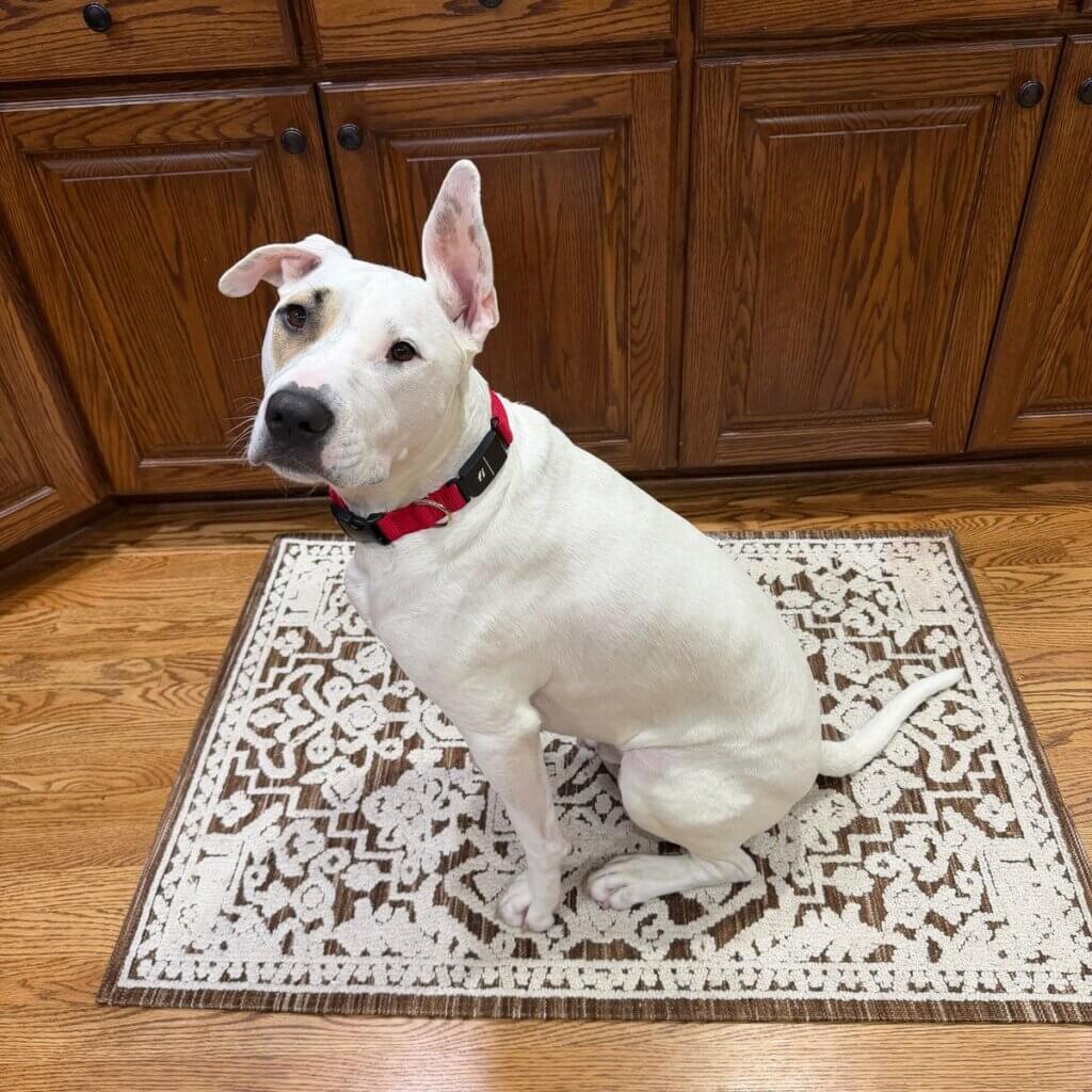 Image #2 from Nina J.