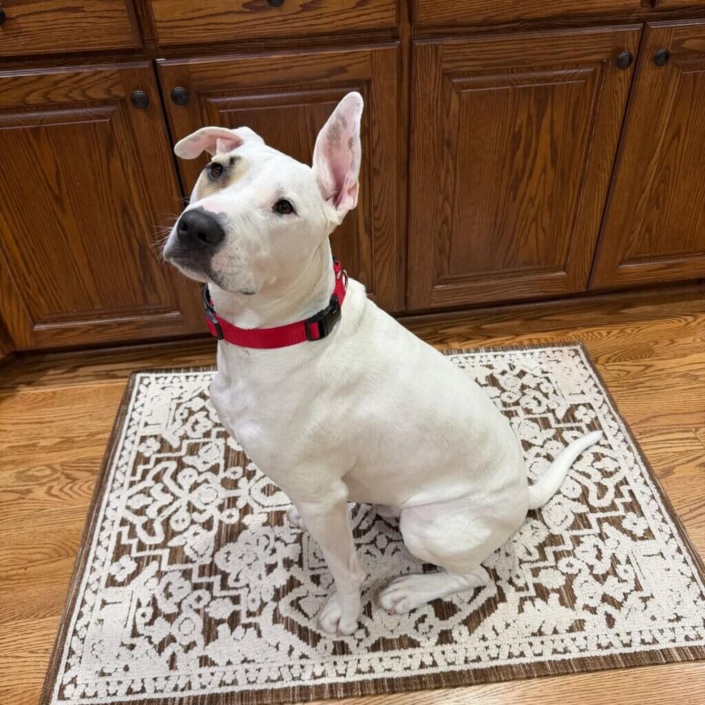 Image #1 from Nina J.