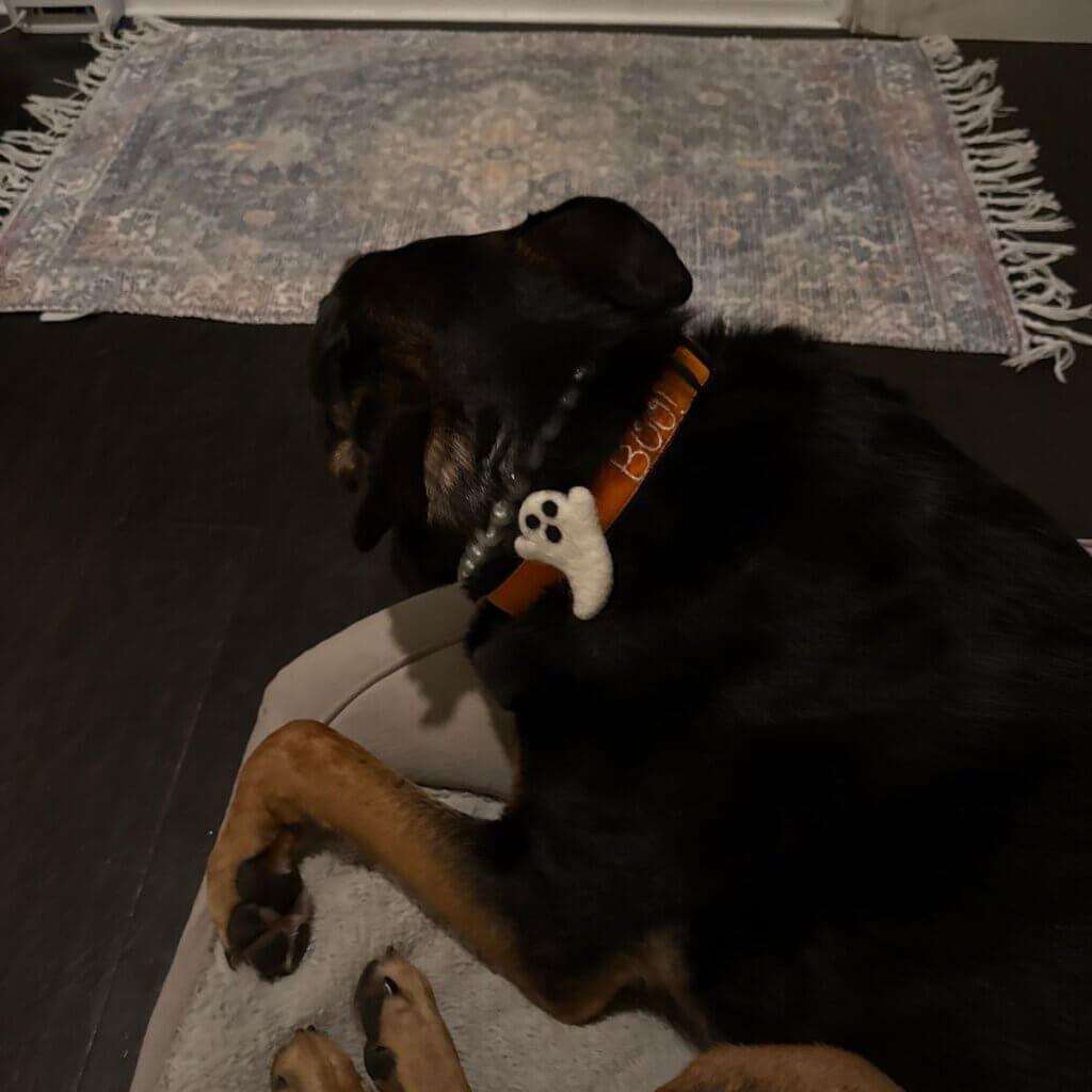 Image #2 from Sabrina M.