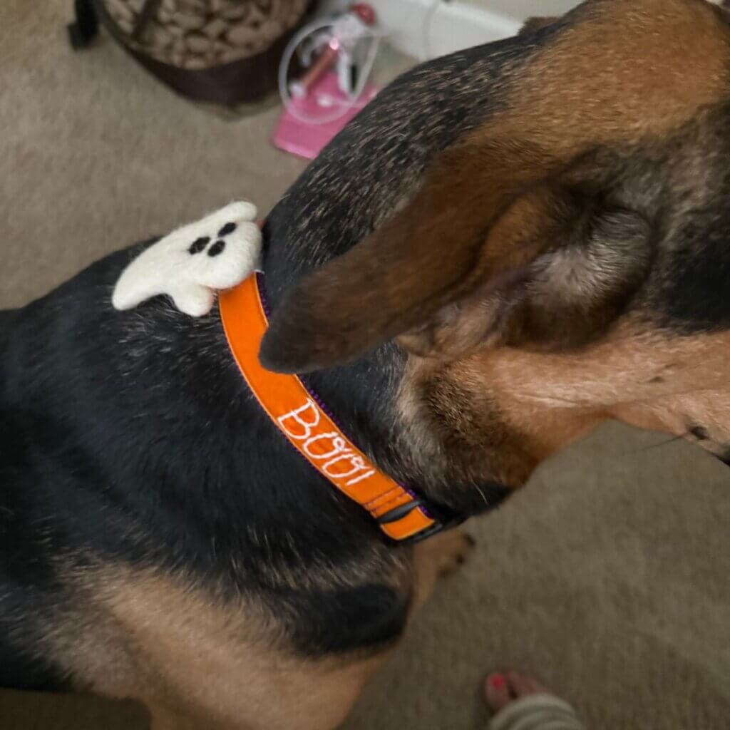 Image #1 from Sabrina M.