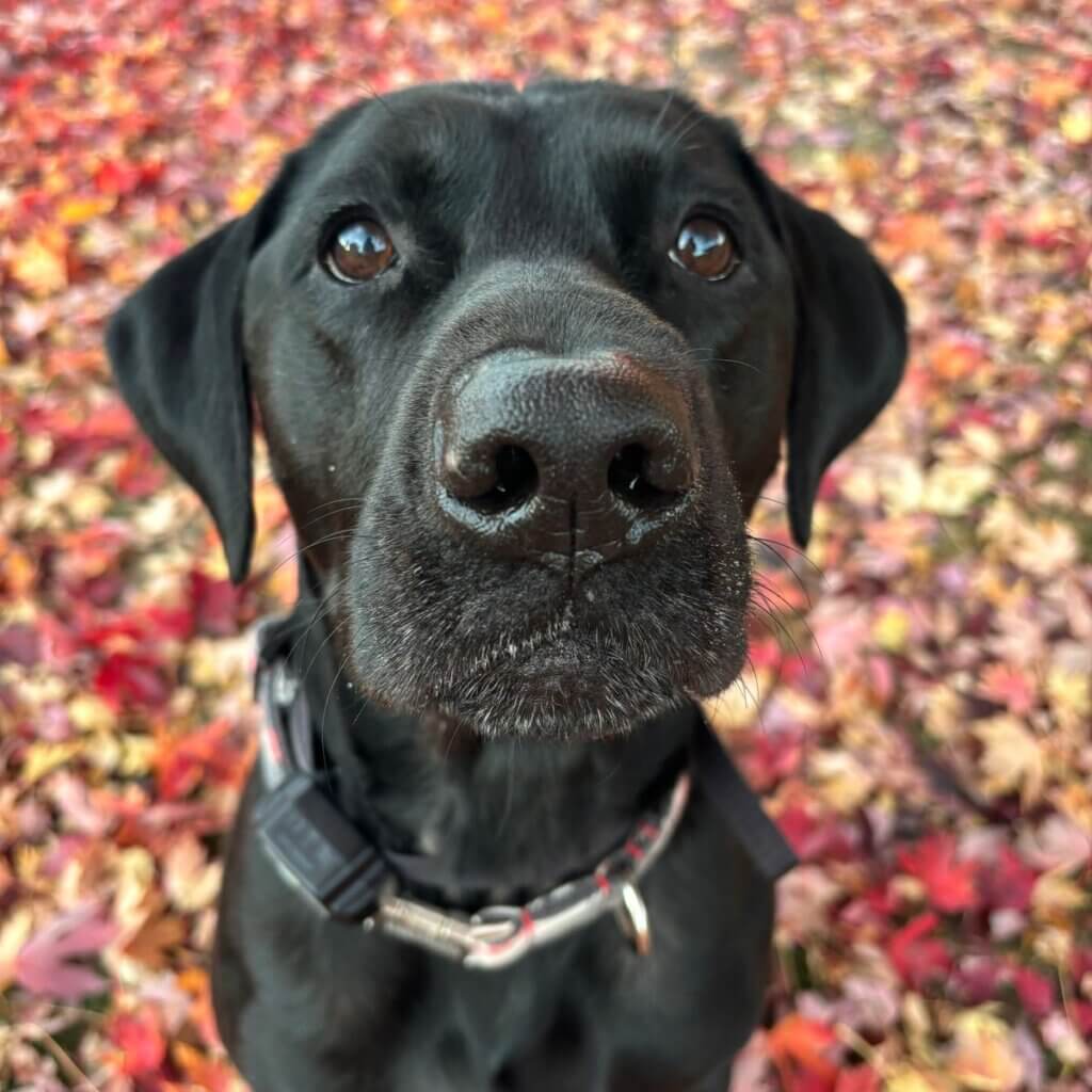 Image #2 from Trisha C.