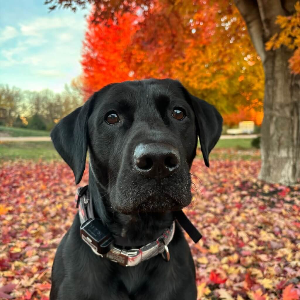 Image #1 from Trisha C.