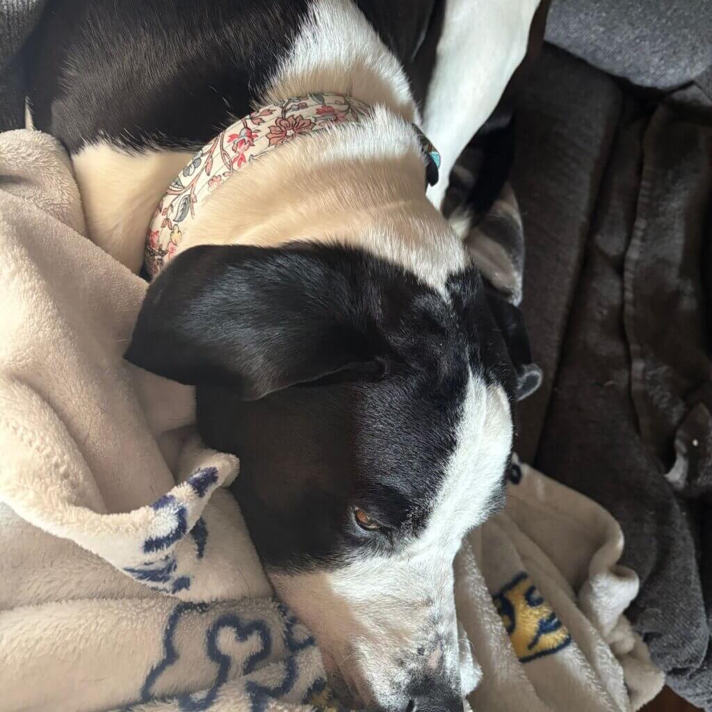 Image #1 from Ricki T.