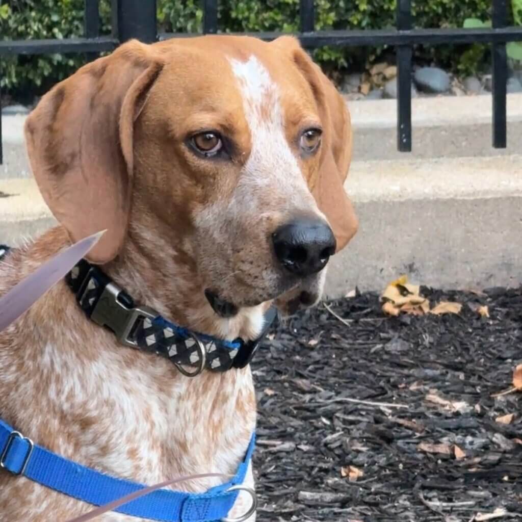 Image #3 from Shannon Lindsey