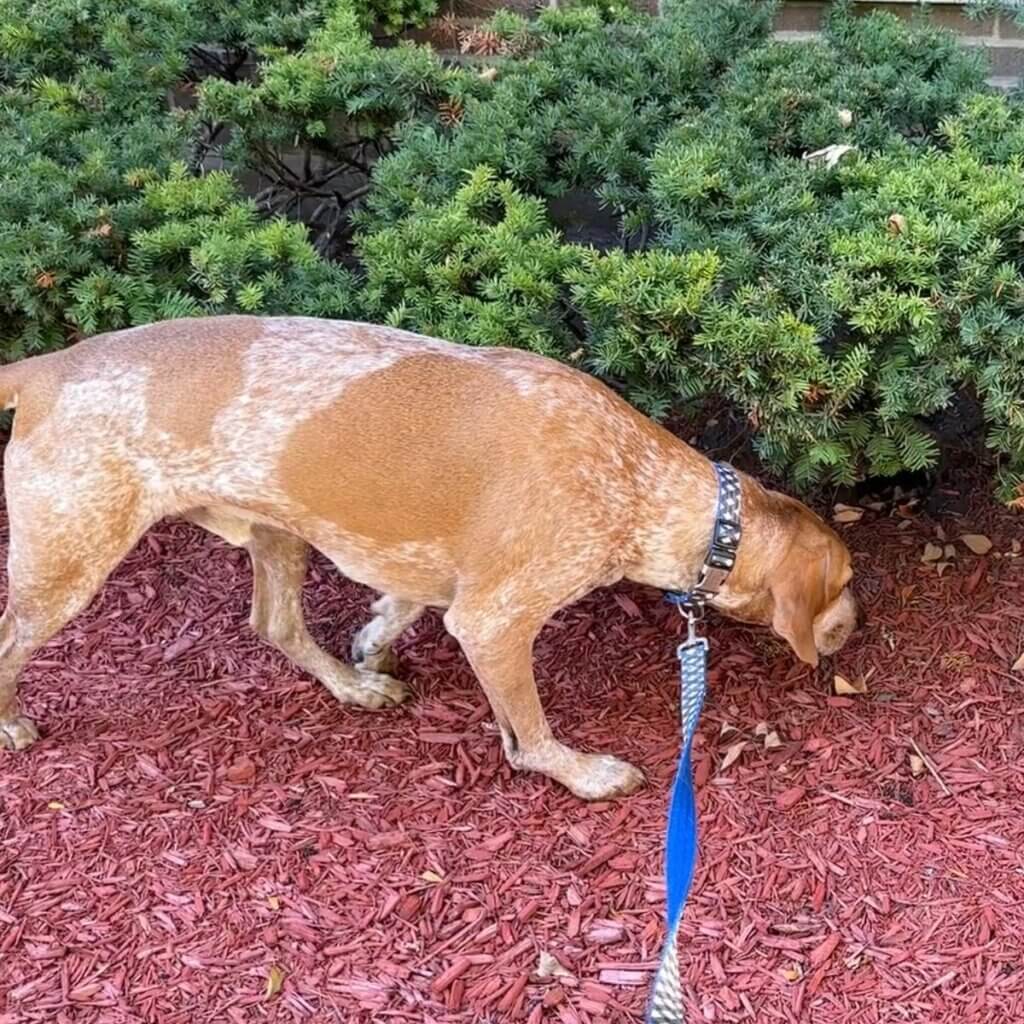 Image #2 from Shannon Lindsey