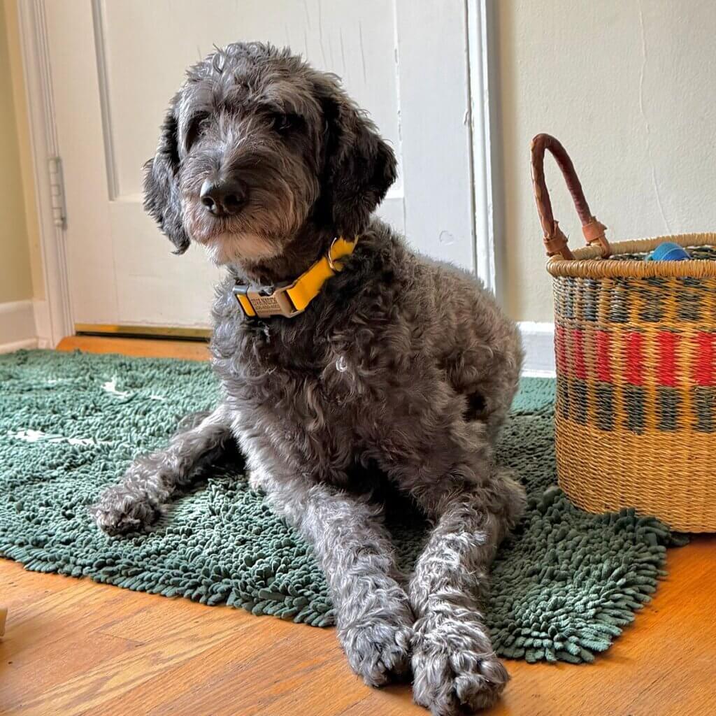 Image #1 from Marian N.