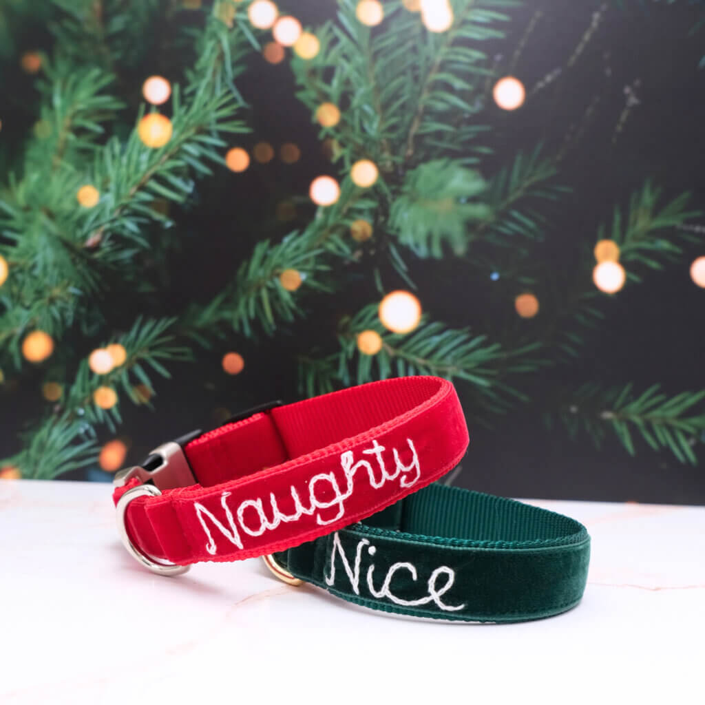 Naughty or Nice Christmas Collar
