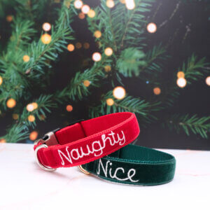 Naughty or Nice Christmas Collar