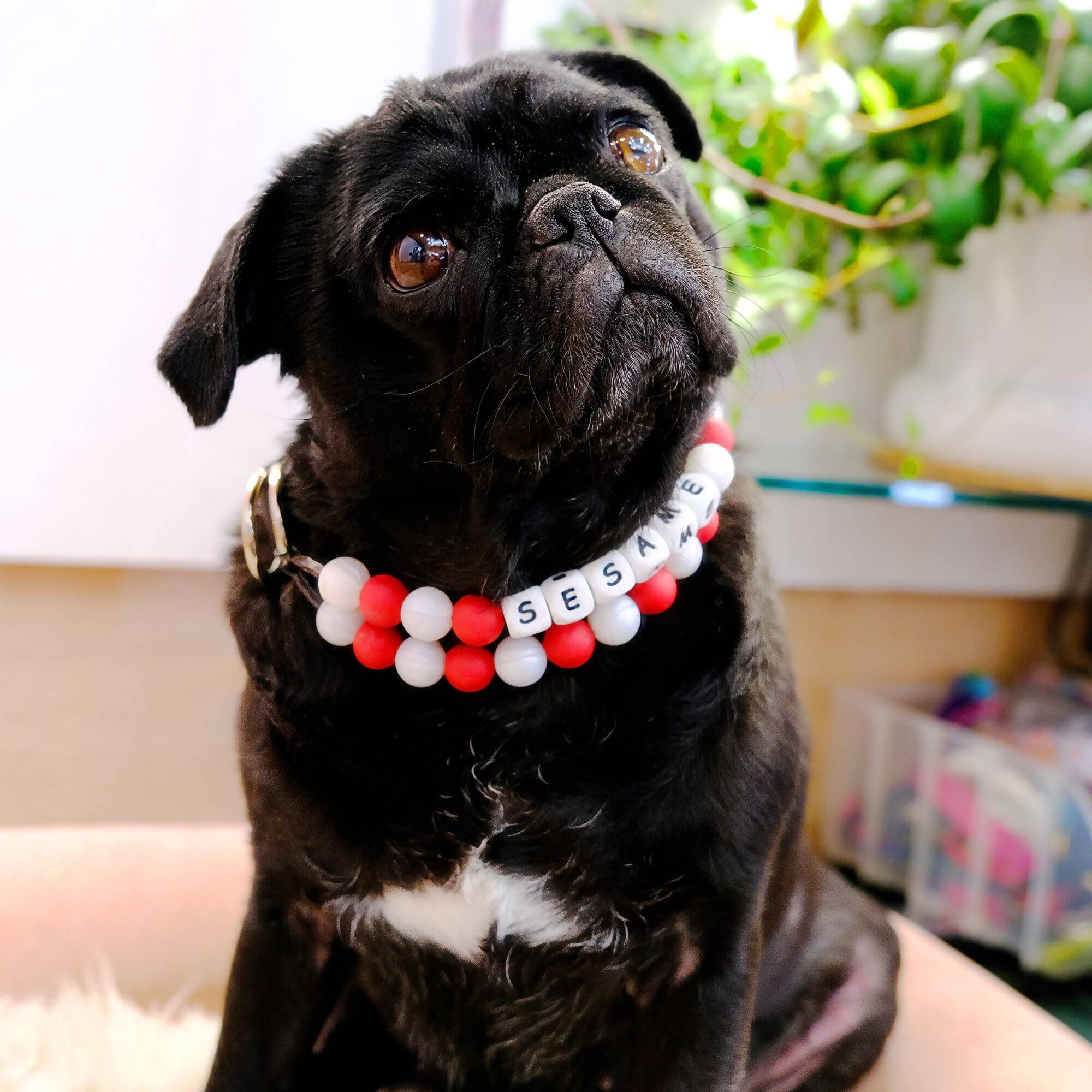 Sesame Peppermint Bead Collar Square