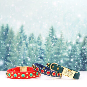 christmas waterproof side release durango kid collars biothane