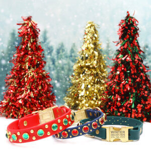 christmas waterproof side release durango kid collars