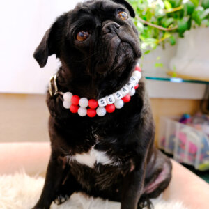 pug beaded collar peppermint holiday