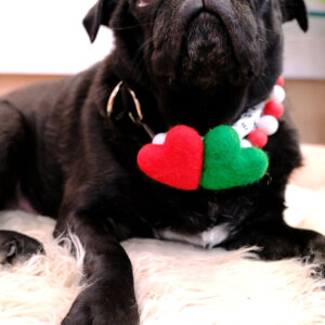 pug sesame heart accessory for collar holiday