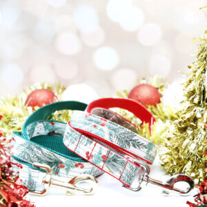 winter berry laminate leashes 1