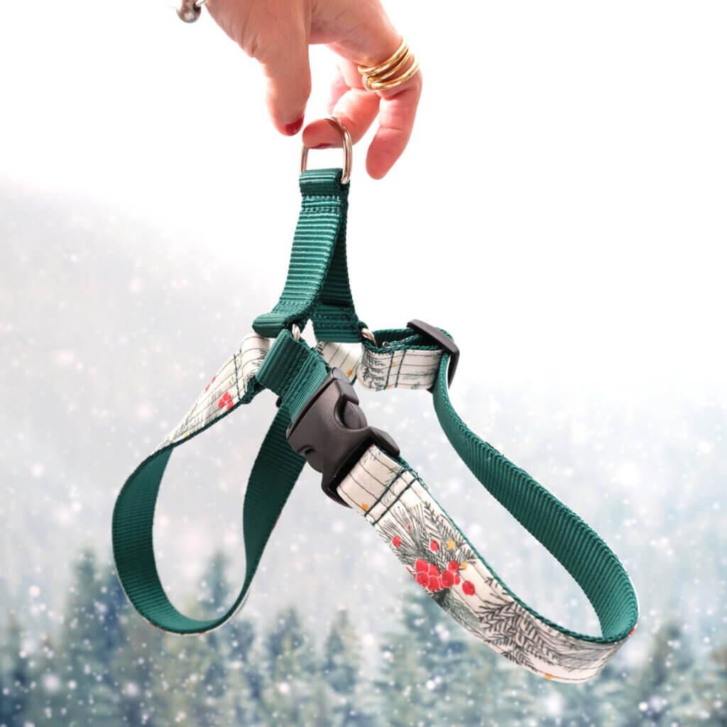 winterberry easy on dog harness