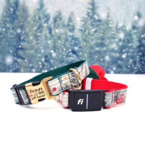 winterberry fi holiday dog collar